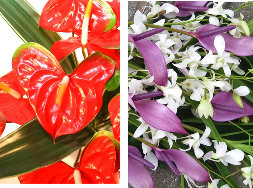 Gift of the Month Homepage Image image