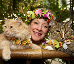 Judi with kitties image