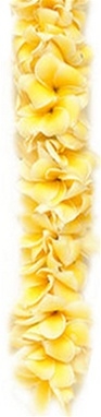 Plumeria Lei | Fragrant Lei ~ All Sold Out May 20 to June 11