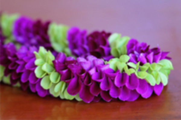 Robin | Non-Fragrant Lei