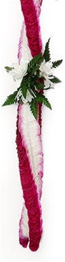 White Dendroium Orchids woven in the Christina style.  This is a tightly woven lei, is long lasting, no fragrance.  Perfect for a sophisticated and elegant look.  Weddings, Graduations, Anniversary or Birthday Lei
