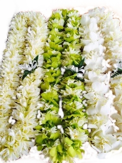 Triple Ginger Lei