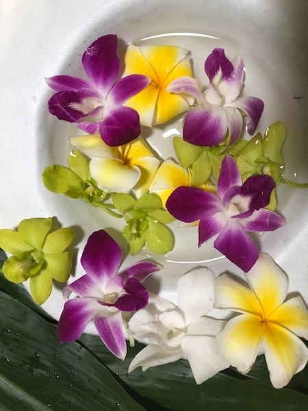 100 Fragrant Plumeria & Orchid Blooms