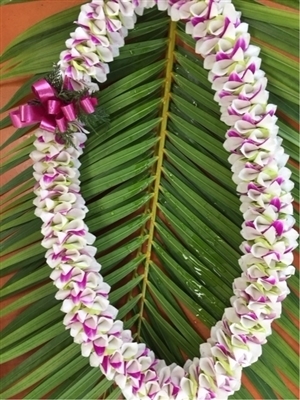 Maui Lei | Non-Fragrant Lei~ All Sold Out June 3 to June 11