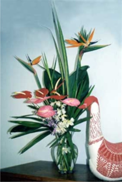 Hawaiian Tropical Flowers includes Bird of Paradise, various pink and red Anthurium with Dendrobium Orchid sprays nestled in tropical green foliage makes this a favorite all year long.  Easy to arrange, cheerful tropical colors and forms.