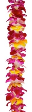Single Dendrobium Orchid & Plumeria Lei