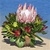 Image Haleakala Bouquet - 8 stems