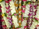 Image Haleakala Bouquet - 14 stems