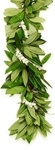 Image Haleakala Bouquet - 26 stems