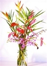 Image NEW!   Kauai Splendor- Includes Priority FedEx