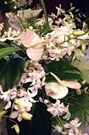 Image Single White Orchid Lei with color