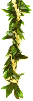 Image Green Foliage