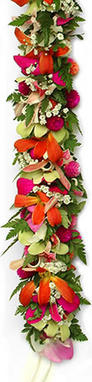 Image Haku (Head Lei)  Sold Sout for delivery May 7 to 12