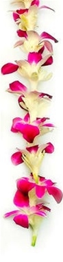 Image Tuberose Lei. Sorry SOLD OUT
