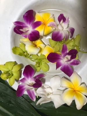 Image 100 Loose Blooms: Mix of  Fragrant Plumeria OR  Non-Fragrant Dendrobium Orchids