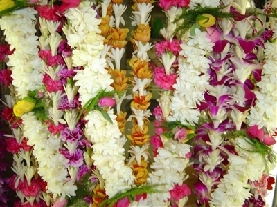 Image Lei of the Month