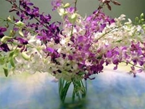 Image Orchid Bouquet